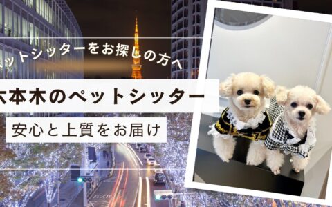 六本木　ペットシッター